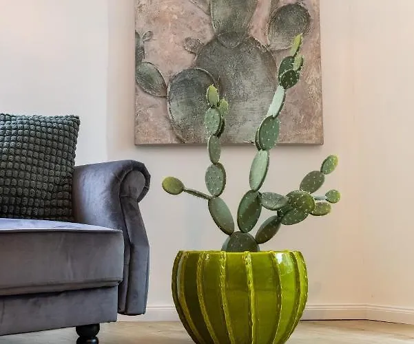 Apartamento Zentrale Designoase